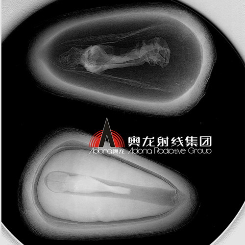 松子.jpg 松子.jpg