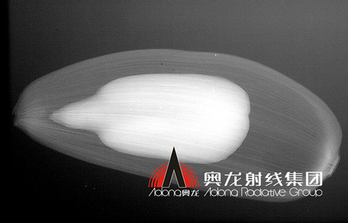 瓜子.jpg 瓜子.jpg