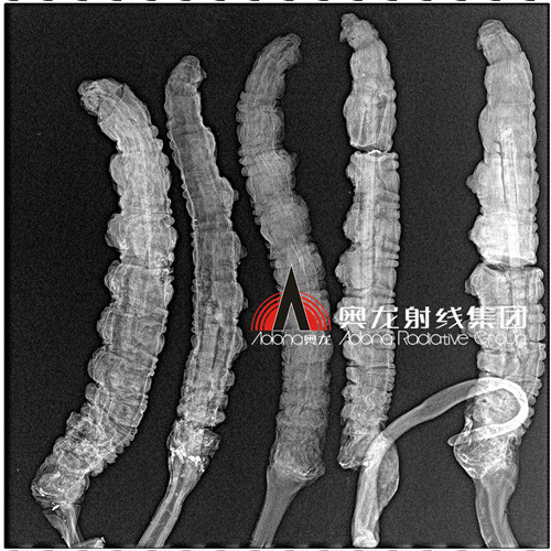 蟲草.jpg 蟲草.jpg